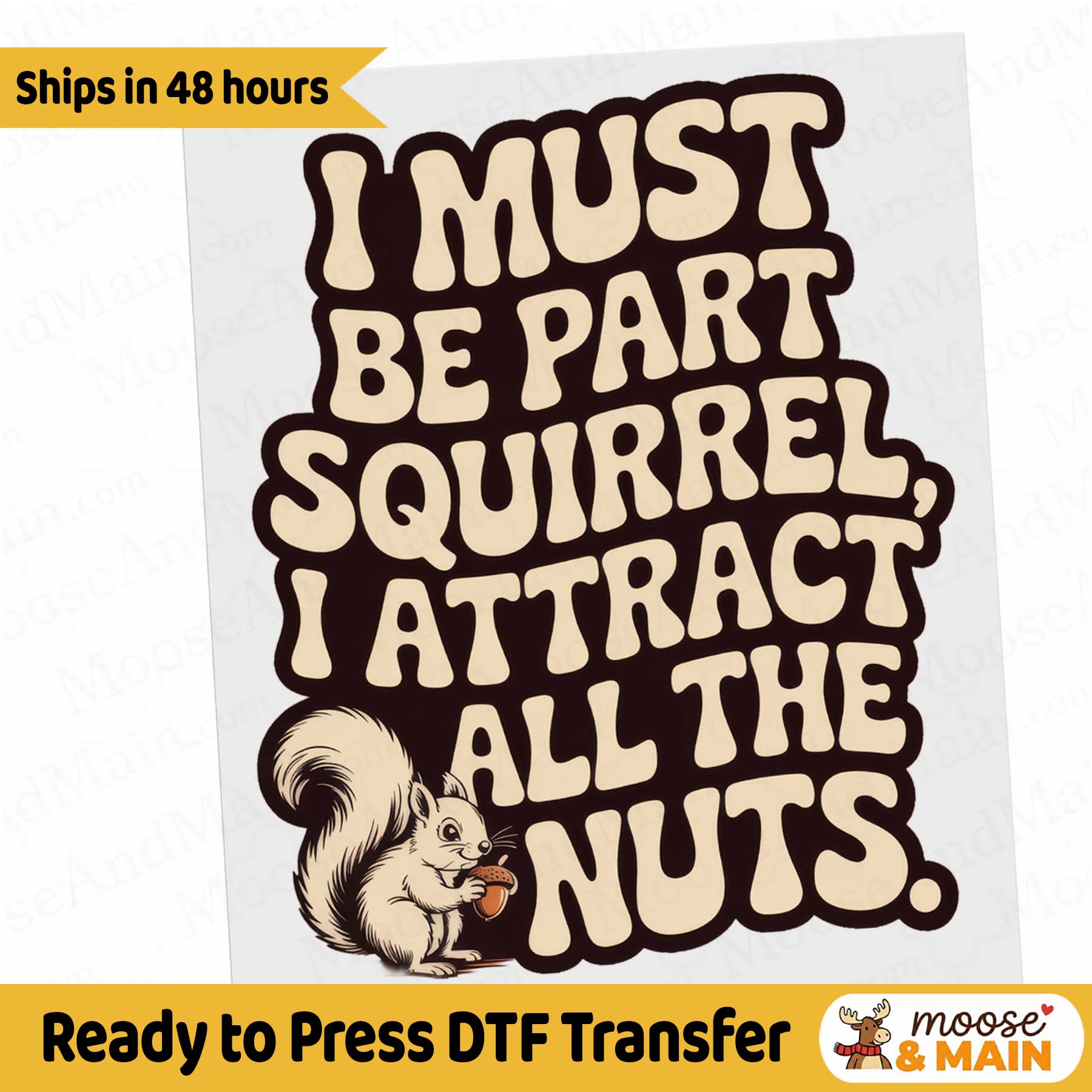 Squirrel Attract all the Nuts - Ready to Press DTF Heat Transfer for hoodies, tees, sweatshirts